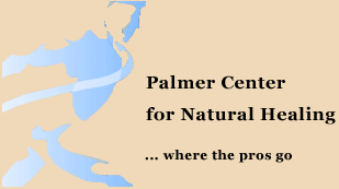 Palmer Center for Natural Healing